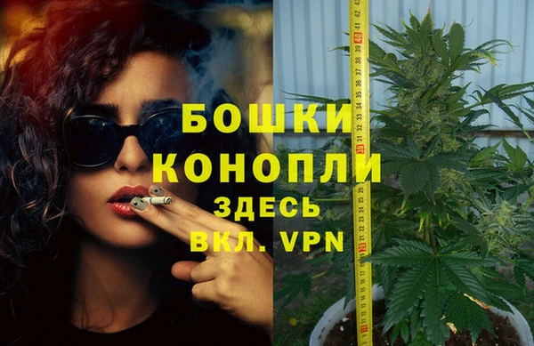 мдпв Елизово