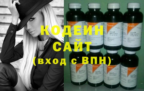 мдпв Елизово