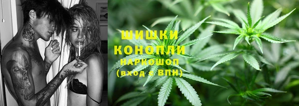 мдпв Елизово