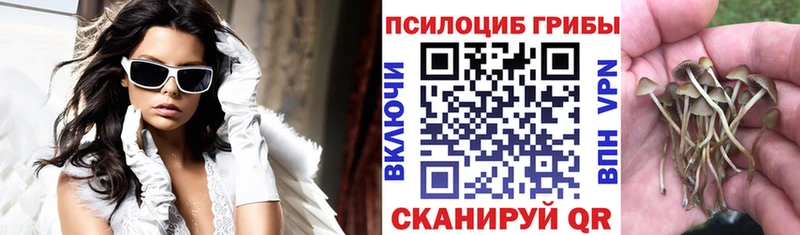 наркотики Кочубеевское Галлюциногенные грибы Psilocybe